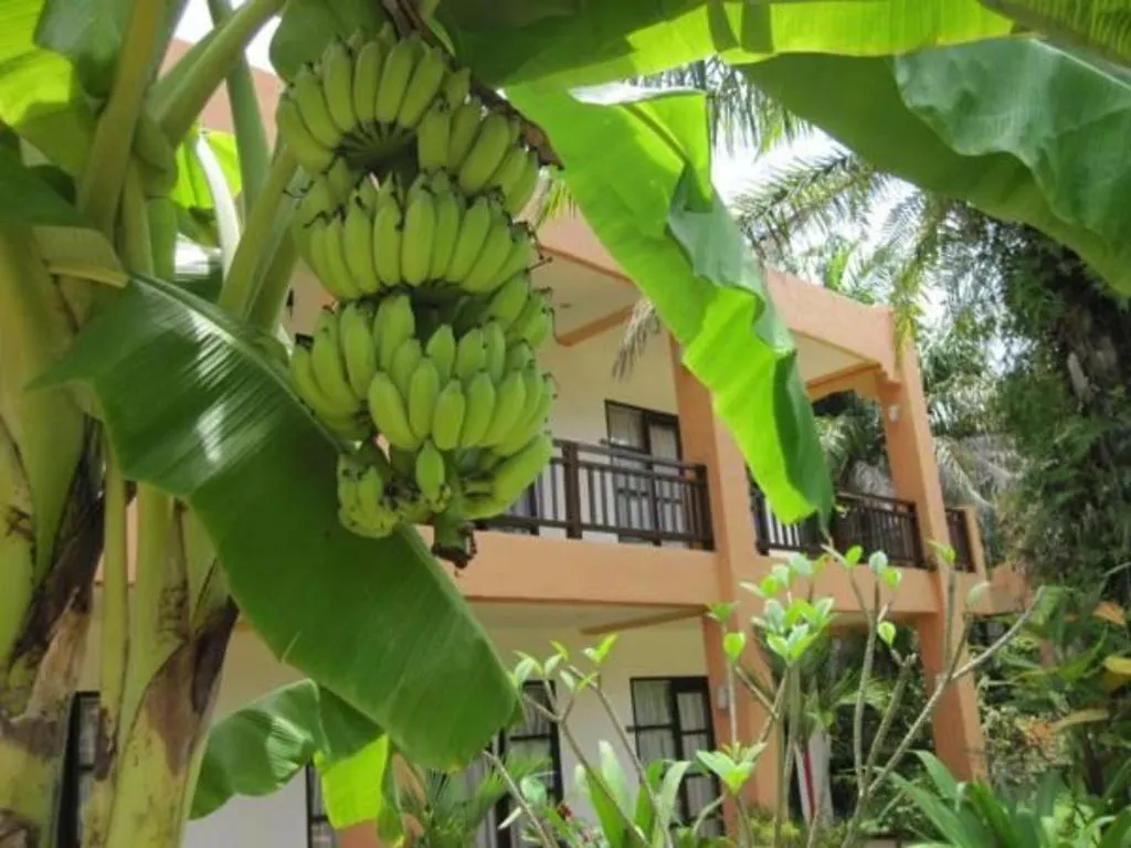 Khaolak Palm Hill Resort Khao Lak Thailand